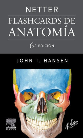 Flashcards de Anatomía. Hansen