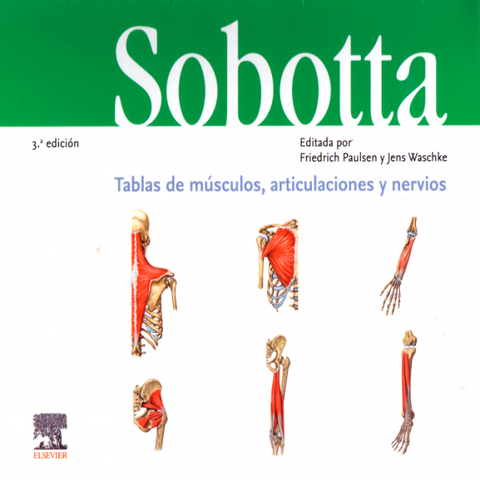 Paulsen / Sobotta. Tablas de músculos, articulaciones y nervios 3a ed